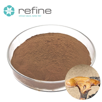 Poudre de spores de champignon Reishi de haute qualité, poudre de spores brisées de Ganoderma Lucidum
