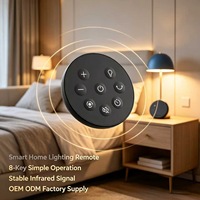 Lámparas Inteligentes Infrarrojas JCXK de 8 Teclas con Control Remoto, Plástico ABS, OEM, ODM, Suministro de Fábrica Personalizado