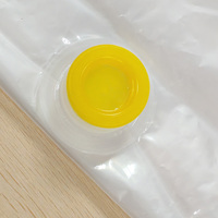 Bec verseur et bouchon portables en plastique PE, durables et écologiques, pour huile/confiture, pour sacs Bag-in-Box et bec verseur flexible pour huile