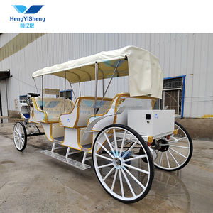 Carruaje de bodas clásico de Venta caliente Turismo escénico Viaje mágico Transporte especial para bodas Tours - Product Image 5