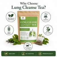 Sachets de thé détoxifiant pour les poumons à marque privée, pour le soutien respiratoire et le bien-être pulmonaire, mélange naturel de plantes, 20 unités, vente en gros, OEM