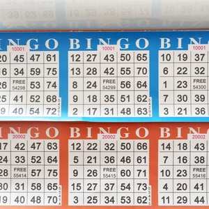 Juego de Bingo con Tarjetas de Papel Grandes, Datos Variables, Diseño Personalizado Gratuito, Impresión Digital, Tarjetas de Bingo Coloridas - Product Image 1