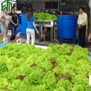 FUMA Eco-friendly acquaponica serra in plastica <span class=keywords><strong>per</strong></span> pesci e piante <span class=keywords><strong>crescere</strong></span> <span class=keywords><strong>insieme</strong></span> cultura fuori suolo - Product Image 4