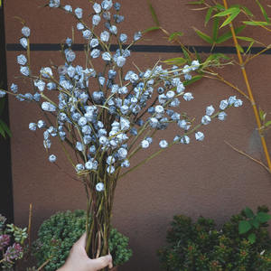 Vases de fruits d'eucalyptus Offre Spéciale de 110g fleur séchée de longue durée 100% fruits d'eucalyptus naturels <span class=keywords><strong>pour</strong></span> la décoration d'anniversaire - Product Image 1