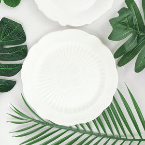Assiettes de bagasse de canne à sucre jetables écologiques populaires de 9 pouces Plats et assiettes Niveau alimentaire Graisse et étanchéité à l'eau pour la fête - Product Image 3