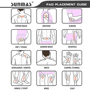 Precio de Fábrica, Instrumentos de Acupuntura Eléctrica Digital para Terapia de Cuerpo Completo, Unidad EMS TENS, 24 Modos, 20 Niveles de Intensidad, USB - Product Image 2