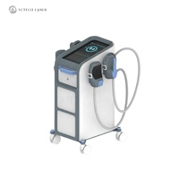 Appareil de remodelage corporel et de perte de poids 4 poignées EMS Zero NEO EMT 5600W avec certification CE OEM