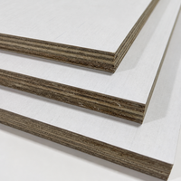 Plaque de contreplaqué durable 4x8 de marque Qiangyi, sans formaldéhyde, à âme en eucalyptus, étanche pour armoires de cuisine