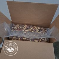 Nueces de Brasil a granel de cosecha fresca de alta calidad de Perú