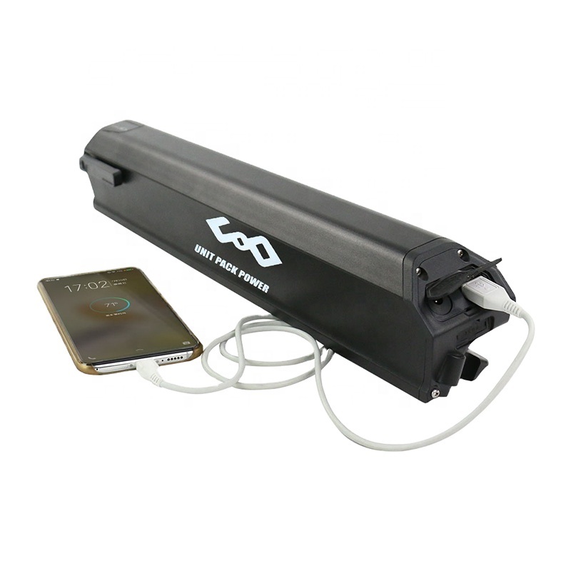 48V 13AH Reention Dorado Plus 電動自転車用リチウムバッテリー