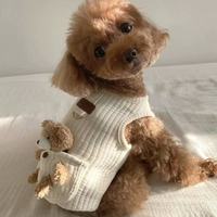 Gilets de luxe en coton et polyester pour animaux de compagnie, mignons et populaires, petite taille, modernes, automne-hiver, pour chats Teddy, petits ours, et insectes à deux pattes
