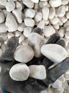 <span class=keywords><strong>Pierre</strong></span> <span class=keywords><strong>de</strong></span> galet naturelle blanche pure, 18 kg/sac, <span class=keywords><strong>pierre</strong></span> naturelle <span class=keywords><strong>pour</strong></span> la décoration <span class=keywords><strong>de</strong></span> <span class=keywords><strong>jardin</strong></span>, <span class=keywords><strong>pierre</strong></span> <span class=keywords><strong>de</strong></span> pavage - Product Image 3