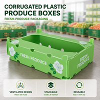 Bac à produits en plastique ondulé PP avec dessus ouvert et taille personnalisée pour l'affichage des fruits et légumes en supermarché