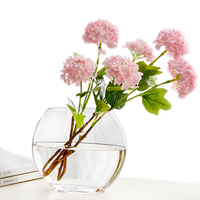 Boule lumineuse à fleur en verre Transparent, ornement de fleur hydroponique plate