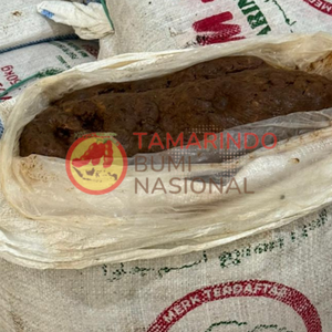 เมล็ดมะขามคุณภาพดี ราคาสุดคุ้ม ขนาดใหญ่ 100% สีน้ำตาล<span class=keywords><strong>ทอง</strong></span> 50 กก. <span class=keywords><strong>มะขาม</strong></span>แห้งแบบดั้งเดิมจากอินโดนีเซีย - Product Image 6