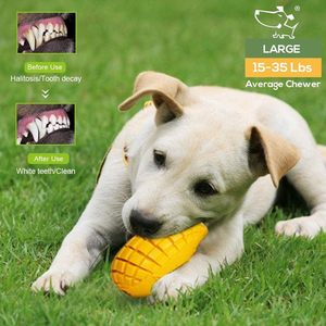 ของเล่นเคี้ยวสำหรับสุนัขและแมวที่ชอบกัดแทะ ยี่ห้อ M.C.work ทนทาน ปลอดภัยสำหรับสัตว์เลี้ยง ใช้ได้กับสุนัขพันธุ์ใหญ่และลูกสุนัข - Product Image 5