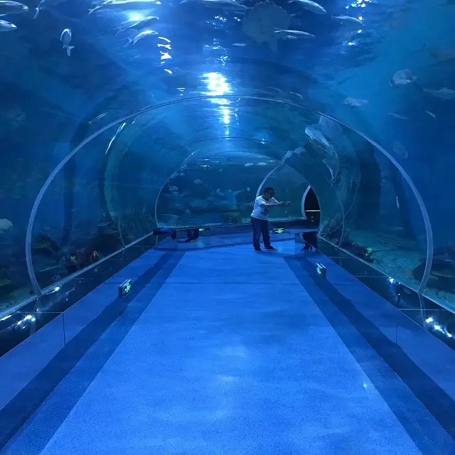 Terowongan Akuarium Bawah Air Akrilik Besar, dengan Kaca Akrilik Terowongan