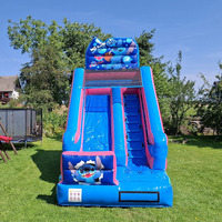 Château gonflable commercial d'extérieur, château gonflable à thème de dessin animé, combo toboggan et château gonflable pour enfants