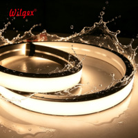 Ruban LED néon en silicone IP65 40x25mm, double rangée, fil de cuivre étamé 2x1mm², ignifuge B2, qualité alimentaire, 5 ans, UL94-V0