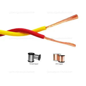 Customize Flame Retardant 2 Core RVS Electric Cable 450/750V Copprer 0.75 1 1.5 2.5 4 6 mm2 PVC Insulation Flexible Twisted Wire