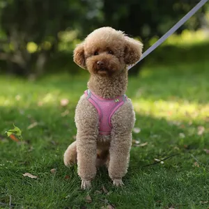 Ensemble <span class=keywords><strong>harnais</strong></span> et laisse en nylon de sécurité réfléchissant réglable Petits chiens <span class=keywords><strong>XS</strong></span> et XXS Bouledogue français <span class=keywords><strong>Chihuahua</strong></span> Carlin Marche en plein air - Product Image 6