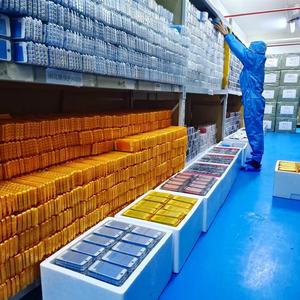 Kuli Miếng Dán Mặt Kính Oca 3 Trong 1 Chất Lượng Chính Hãng Sửa Khung Cho Iphone 5 5S 6 6P 6S 6Sp 7 7P 8 8P Màn Hình Hiển Thị Thay Thế - Product Image 6