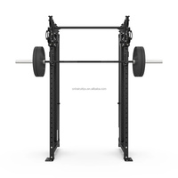 Solution de gym à domicile tout-en-un murale : Power Rack + Machine à câbles pour un entraînement complet du corps dans un petit espace