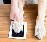 Nouvelle Offre Exceptionnelle : Lot de 4 Cadres de Peinture Personnalisables pour Empreintes de Bébé (Main et Pied) et Empreintes d'Animaux (Chien, Chat) – Tampon Souvenir