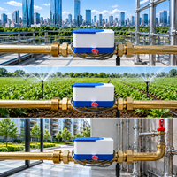 Compteur d'eau domestique à ultrasons intelligent de petit diamètre modèle chaud 485 IP68 Protection débitmètre à distance OEM à bas prix