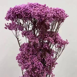 Оптовая продажа консервированных натуральных цветов просо сушеный букет для свадебного украшения - Product Image 2