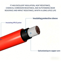 Cable de Alimentación de Cobre Estañado de un Solo Núcleo con Aislamiento XLPO y Revestimiento XLPO para Conexión de Corriente Continua y Cableado de Baterías