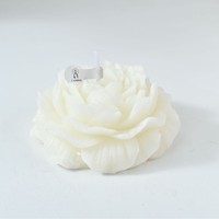 Miniatuur pioenroosvormige geurkaars van sojawas, meerkleurig, op maat gemaakte geur, bloemenwas kaars, bruidsmeisjes cadeau, feestversiering