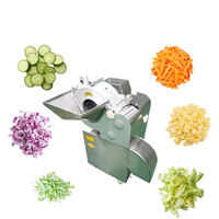 Professionele industriële groente- en fruit snijmachine voor ui, radijs, kokosnoot, aloë vera, mango, komkommer en andere fruitsoorten.