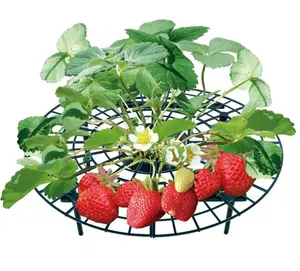 Les Supports de plantes à fraises rehaussent le Fruit, préviennent la pourriture, les Supports de plantes à tomates sont très efficaces contre les escargots, les limaces et les fraises - Product Image 1