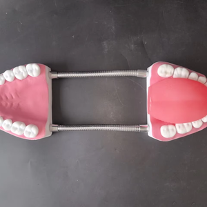 Modèle dentaire grossissant 6X, outil de pratique de nettoyage des dents, modèle d'enseignement d'hygiène bucco-dentaire pour l'éducation au brossage en maternelle - Product Image 5
