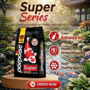 อาหารปลาสวยงาม อาหารปลาคาร์ฟ อาหารสัตว์น้ำสำหรับส่งออก ซูเปอร์ซีรีส์ โปรตีนสูง เร่งการเจริญเติบโต คุณภาพสูง 15กก./20กก. แบบลอยน้ำ - Product Image 6