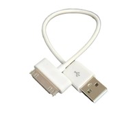 Kabel Data USB 30Pin untuk iPhone 4 3GS iPad 1 2 3 iPod Classic Nano Touch 10cm 20cm Kabel Pengisian Daya Sinkronisasi Putih Hitam