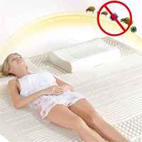 Vente en gros Prix sortie Thaïlande Caoutchouc naturel Latex 5cm Matelas anti-pression avec latex naturel Emballage sous vide dans une boîte