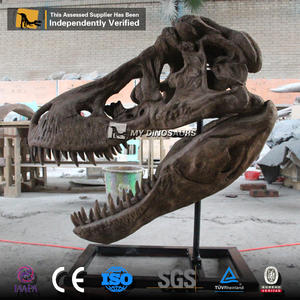 MY DINO-calaveras <span class=keywords><strong>de</strong></span> dinosaurio DS070, calaveras <span class=keywords><strong>de</strong></span> dinosaurio fósil t-rex, Color realista o tamaño real personalizado - Product Image 6