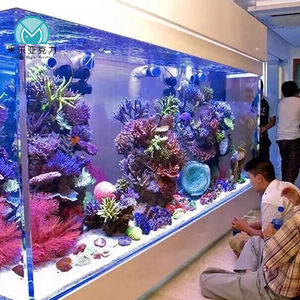 Herstellerpreis Mehrere Größen Großhandel 100 Gallonen Acryl-Aquarium Dekoration - Product Image 2