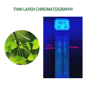 ISO nhà máy nguyên liệu 24% flavones 6% lactones nước hòa tan <span class=keywords><strong>Ginkgo</strong></span> <span class=keywords><strong>Biloba</strong></span> lá chiết xuất bột - Product Image 4