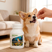 Comprimés VitaFit pour le soutien des articulations des chiens et des chats, avec de l'calcium et de la chondroïtine, absorption rapide, 60g pour animaux de compagnie