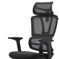 Chaise de bureau ergonomique haut de gamme, chaise de bureau coûteuse, 1 pièce pour le patron, capacité de charge lourde 200 kg