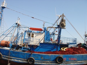 Hot Bán Nhỏ Gọn Câu Cá Điện Khối-#1 Sự Lựa Chọn Cho Ví Nhỏ Seine Thuyền Sản Xuất Trực Tiếp Tùy Chỉnh - Product Image 4