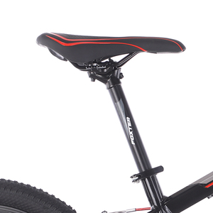 Bicicleta de Montaña de 20 Pulgadas con Cuadro de Acero, Una Velocidad, Frenos de Disco, <span class=keywords><strong>para</strong></span> Niños y Niñas, Ciclismo Deportivo al Aire Libre - Product Image 6