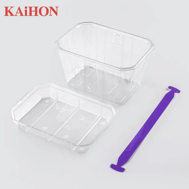 Factory food clamshell box custom Transparent pvc fruit blister plastic box with handle