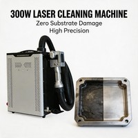 Machine de nettoyage laser à impulsions monophasée 300W, refroidie par air, machine complète, conception sac à dos, détartrage profond du fer, laser HF