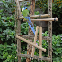 Cage à oiseaux écologique fournitures perchoir bâton en bois pour perroquets et pigeons support suspendu pour support de pigeon