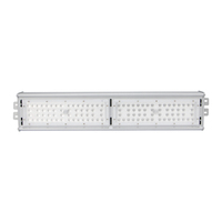 Reflector LED Lineal Modular de Aluminio Gris Claro con Lente Óptica Multiángulo, Soporte Ajustable, IP65, para Exteriores e Industria