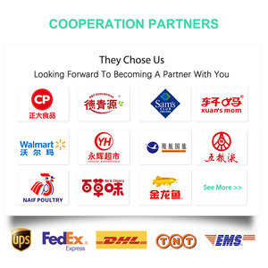 Sản Xuất Bán Buôn 32Oz Pet Cao Trong Suốt Thực Phẩm-Grade Vòng Takeaway Nhựa Bát Biểu Tượng Tùy Chỉnh Deli <span class=keywords><strong>Container</strong></span> - Product Image 5